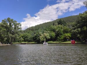 park bachinovo