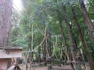 vujen park 2
