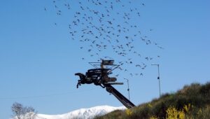 Културна история и културни забележителности в Благоевград и околността letqsht kon izhod blagoevgrad4