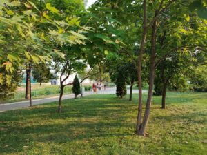 aleyaamericanuniversity