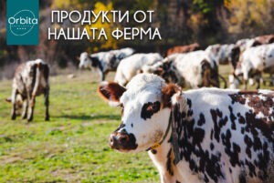 Какви са ползите от консумацията на еко месо и млечни продукти, собствено производство blog 1 1
